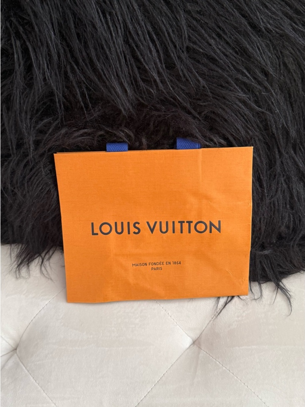 Authentic Louis Vuitton Gift Bag